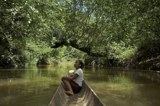 La Naturaleza es asunto de todos, menos de los candidatos