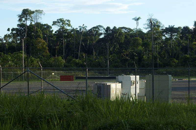 La Amazonía dejará de ser verde.