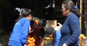 crisis alimentaria