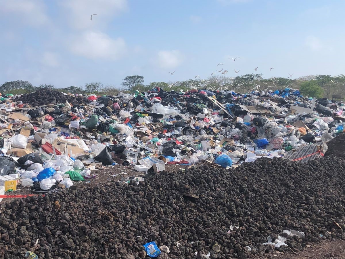 basura en Galápagos