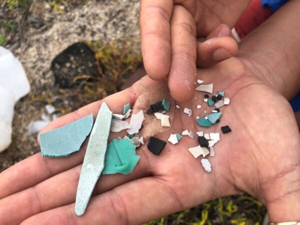 basura en Galápagos