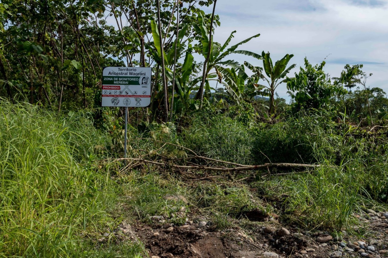 Nuevos caminos deforestan territorio waorani