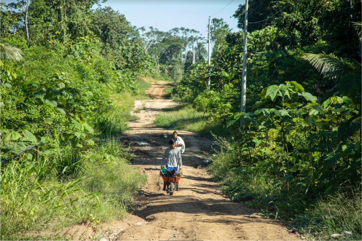 Nuevos caminos deforestan territorio waorani