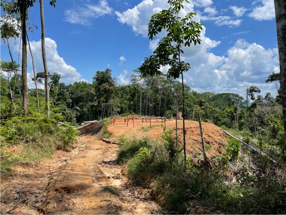 Nuevos caminos deforestan territorio waorani