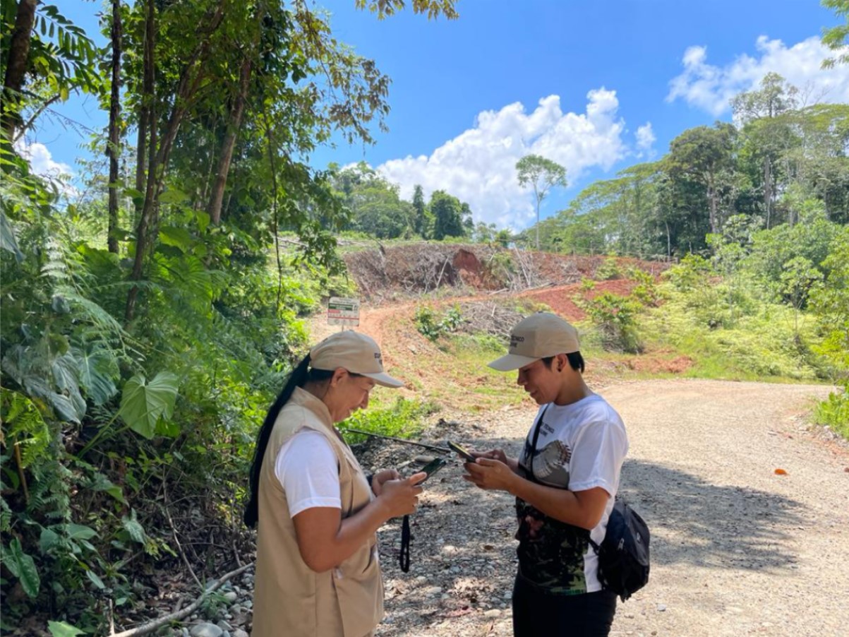 Nuevos caminos deforestan territorio waorani