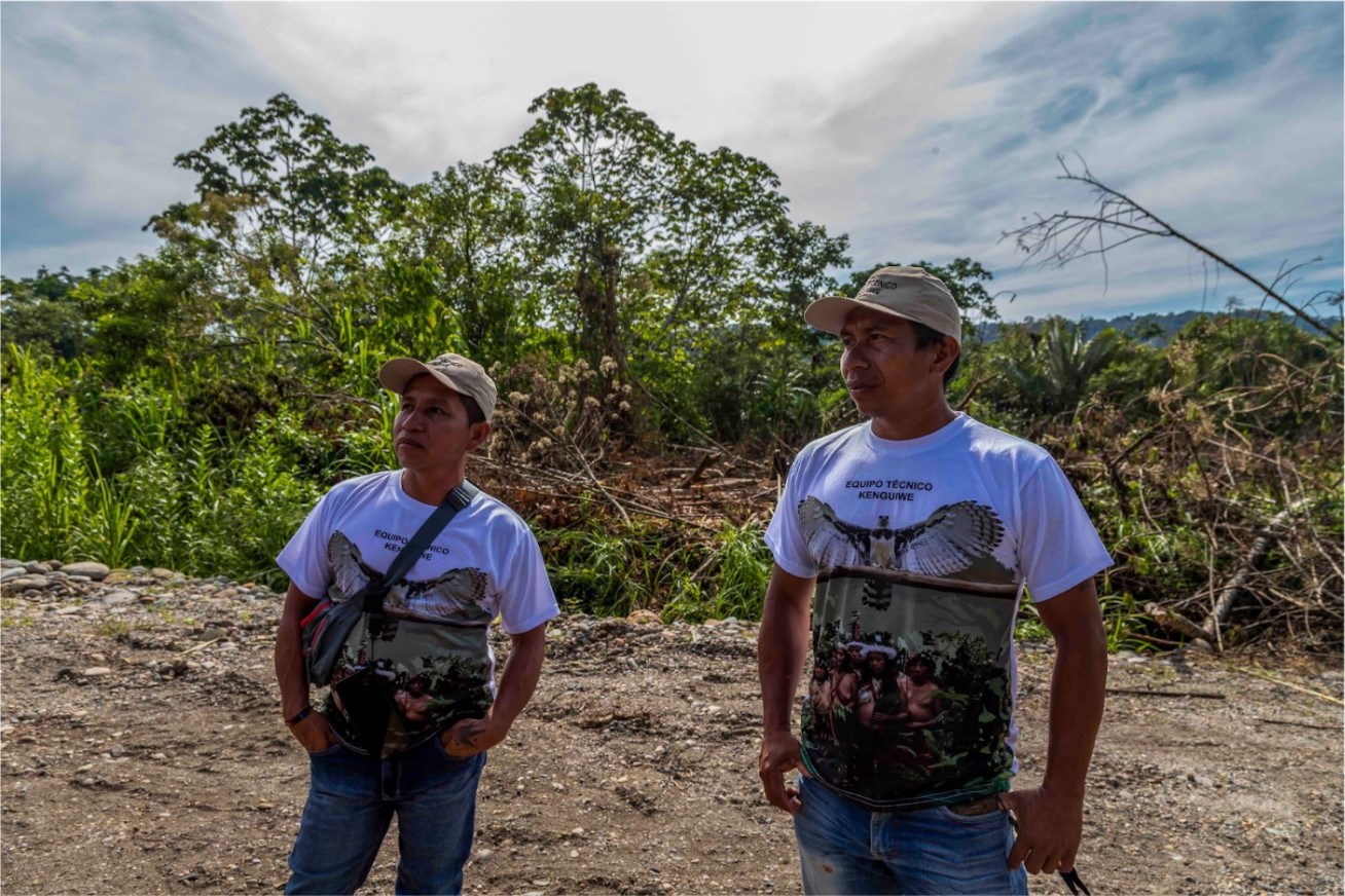 Nuevos caminos deforestan territorio waorani