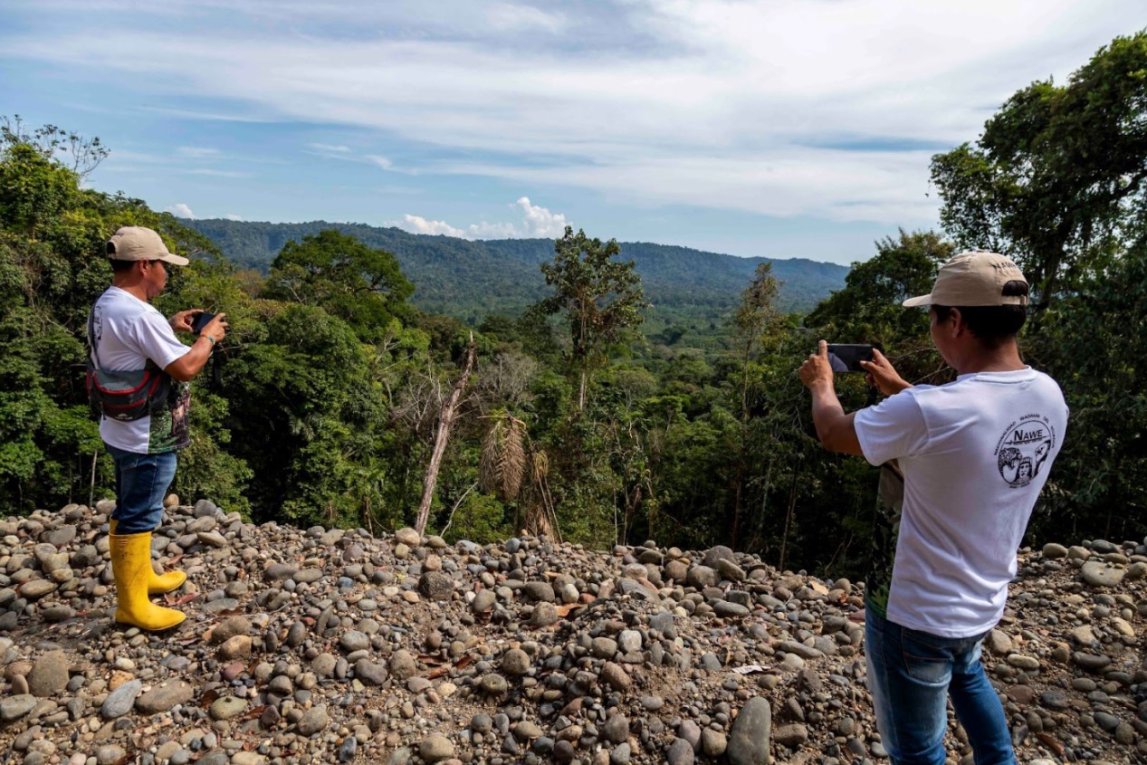 Nuevos caminos deforestan territorio waorani