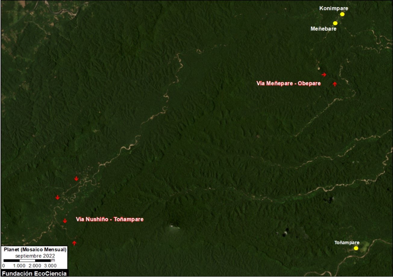 Nuevos caminos deforestan territorio waorani