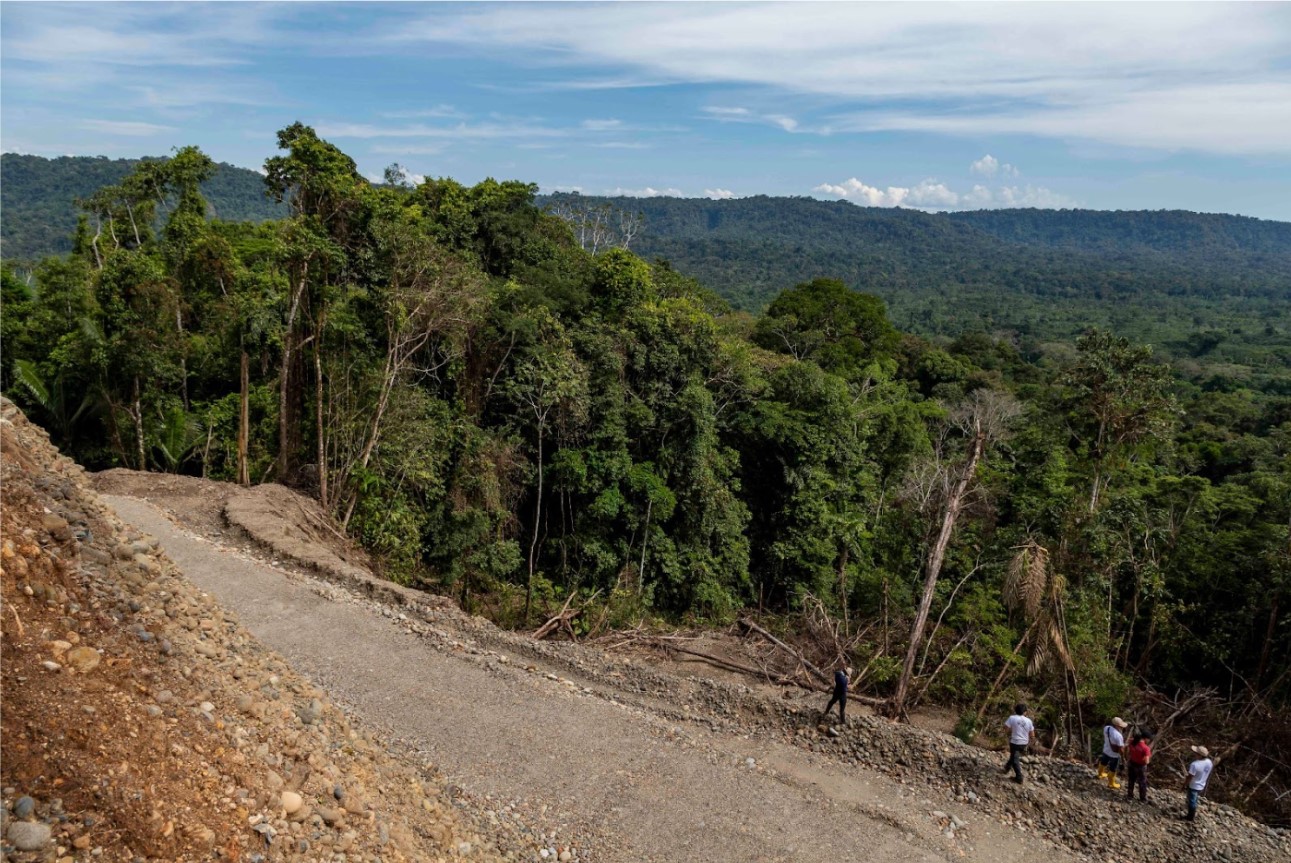 Nuevos caminos deforestan territorio waorani