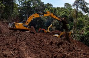 Nuevos caminos deforestan territorio waorani