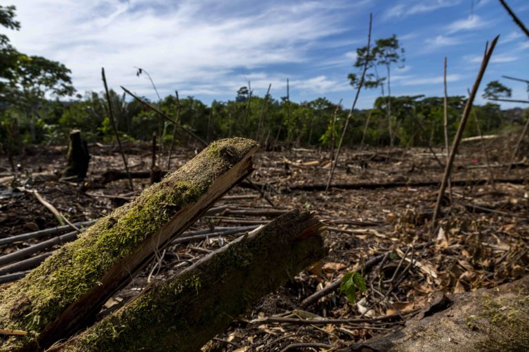 Los desafíos ambientales