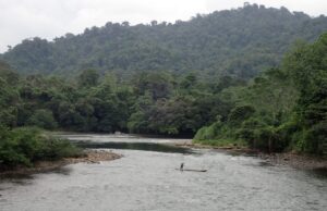 Los desafíos ambientales