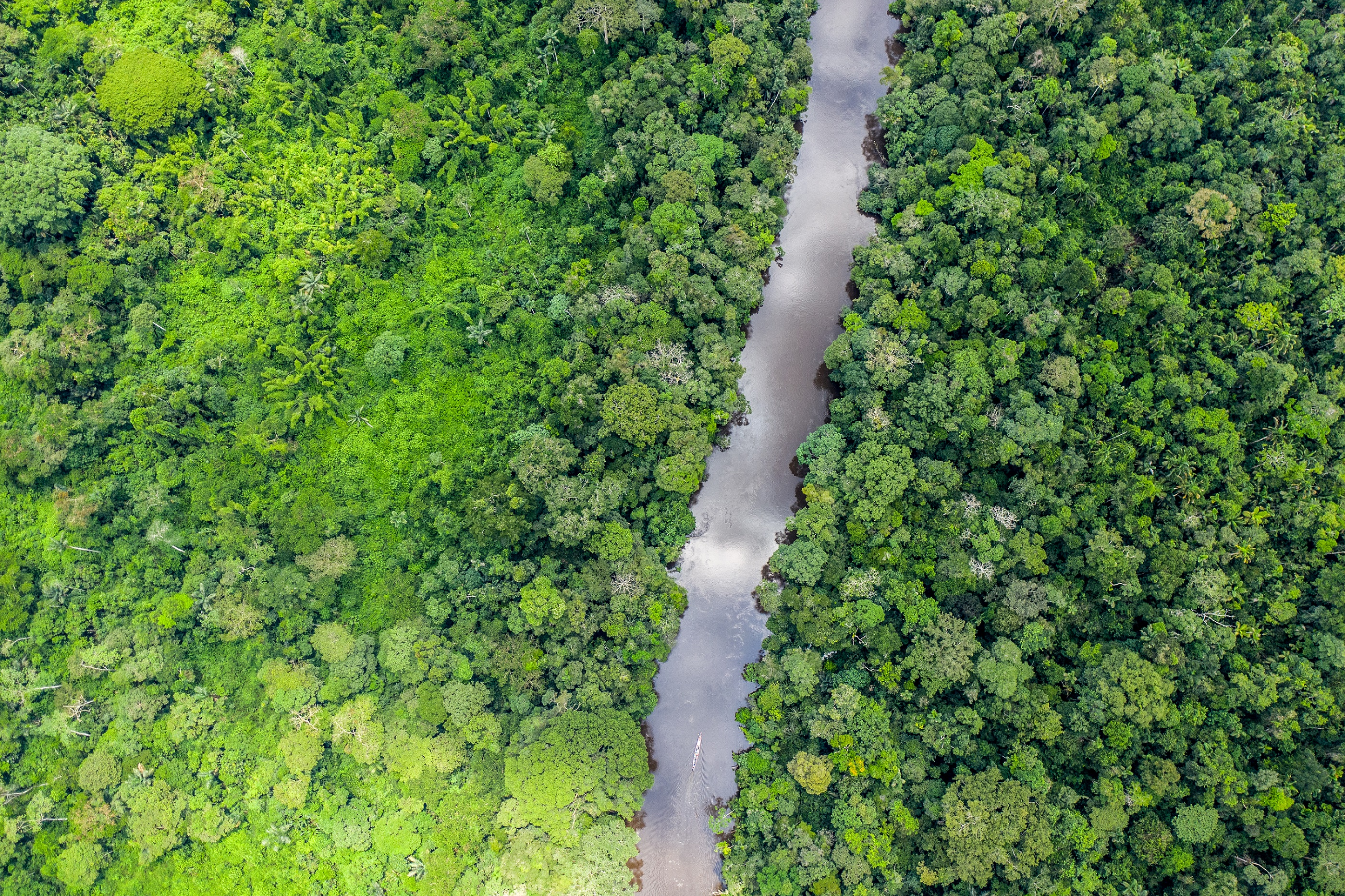 Los desafíos ambientales