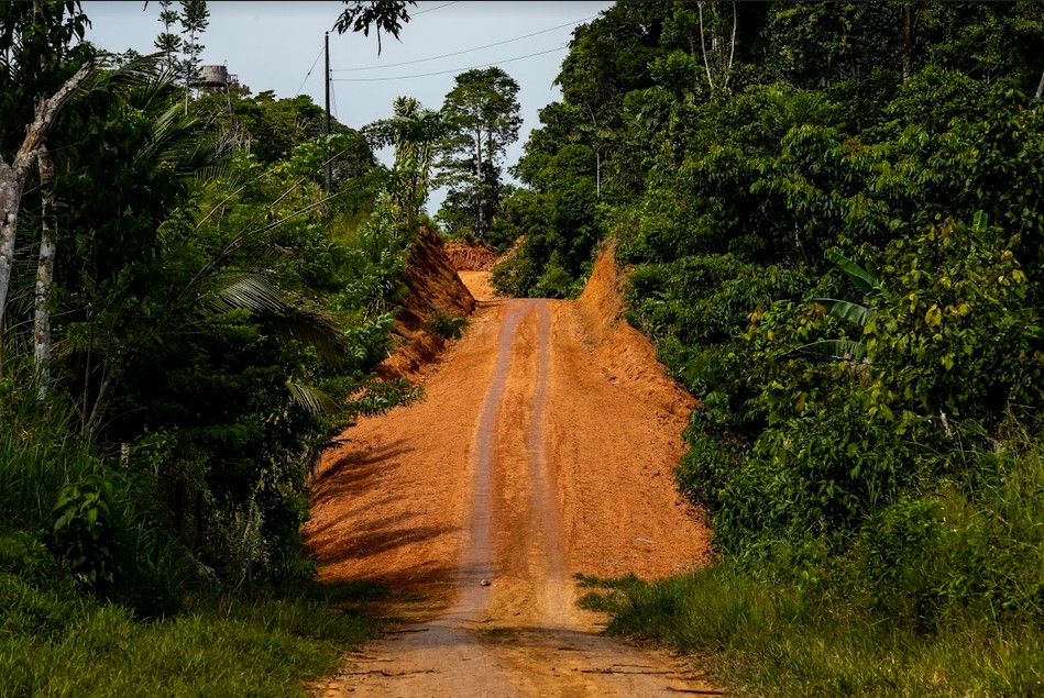 La agroecología enfrenta a la deforestación en el Yasuní