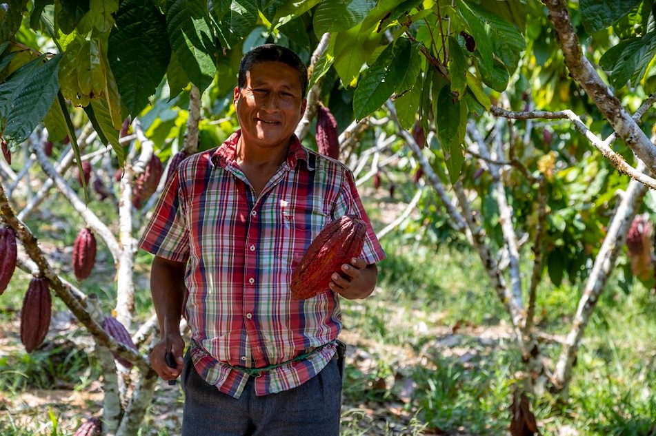 La agroecología enfrenta a la deforestación en el Yasuní