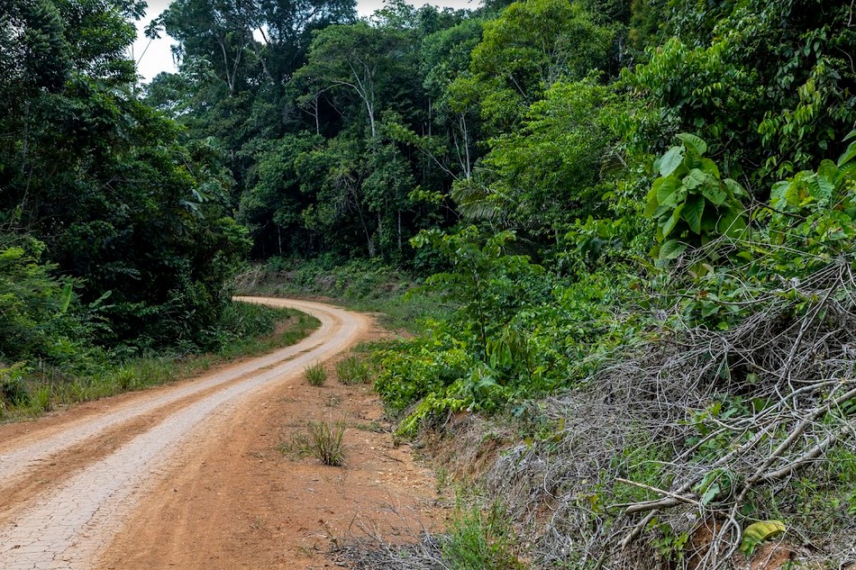 La agroecología enfrenta a la deforestación en el Yasuní