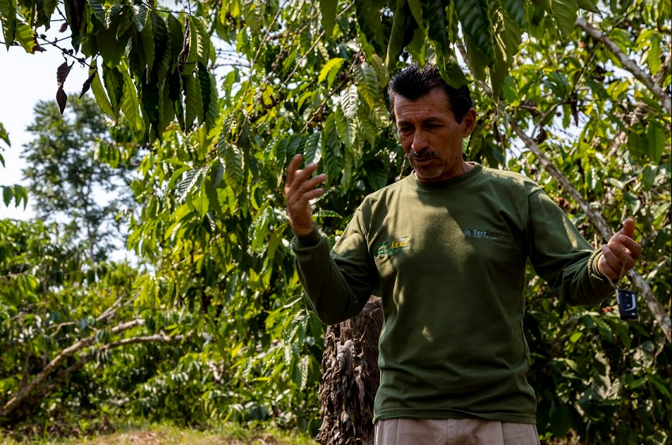 La agroecología enfrenta a la deforestación en el Yasuní