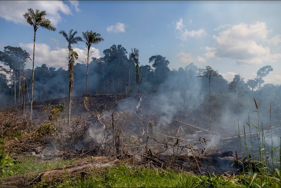 La agroecología enfrenta a la deforestación en el Yasuní