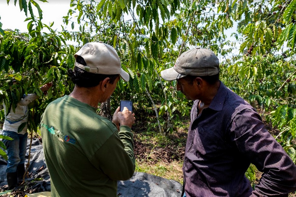 La agroecología enfrenta a la deforestación en el Yasuní