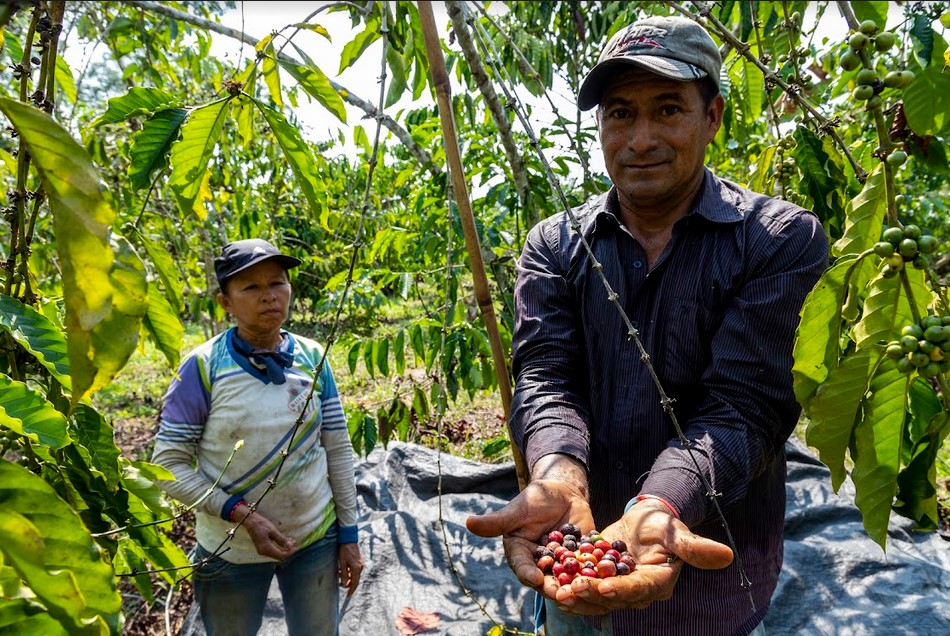 La agroecología enfrenta a la deforestación en el Yasuní