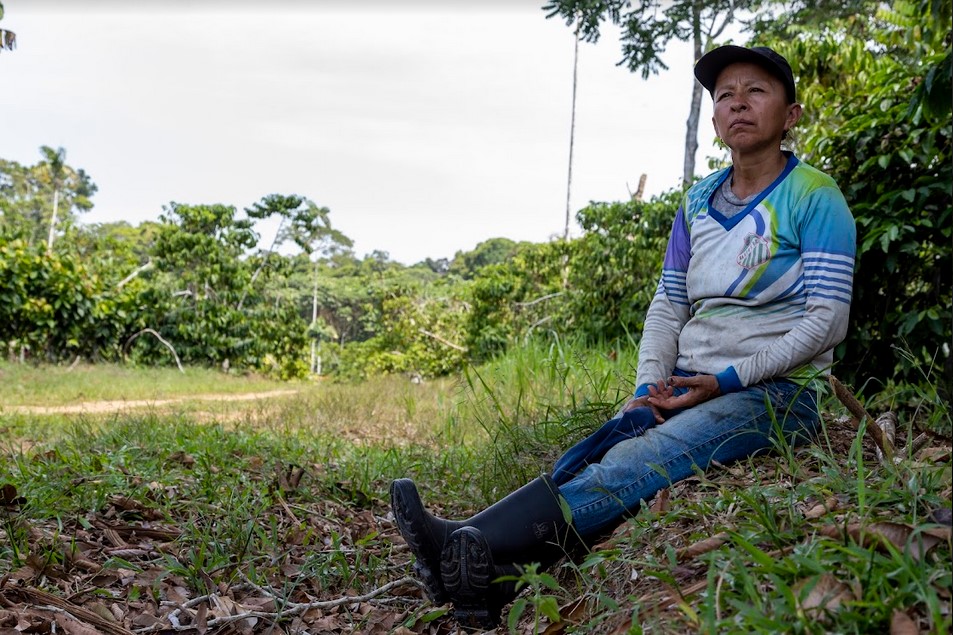 La agroecología enfrenta a la deforestación en el Yasuní