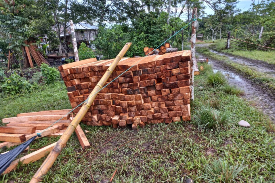 Palma africana y balsa