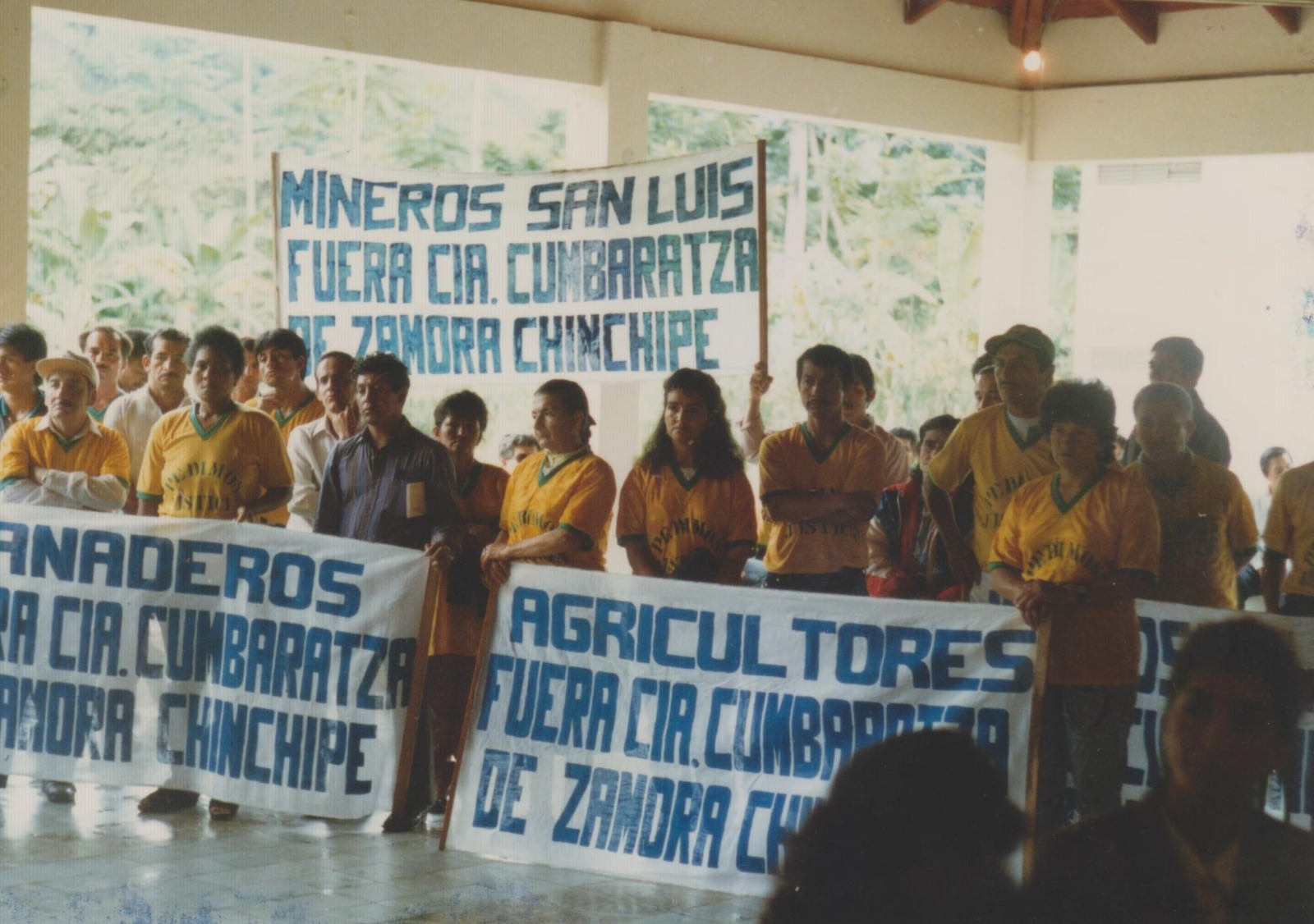 El oro en Podocarpus