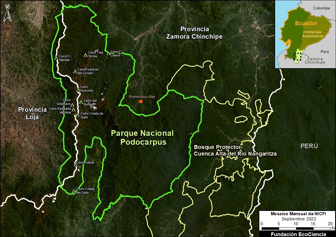 El oro en Podocarpus