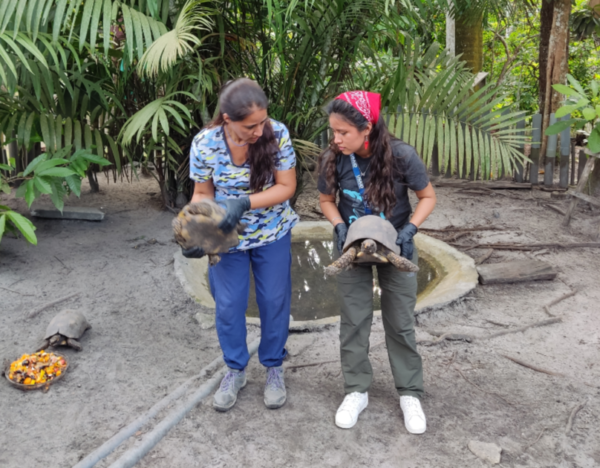 Traficantes de vida silvestre