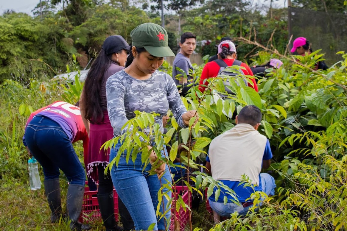 La Amazonía comienza en los Andes