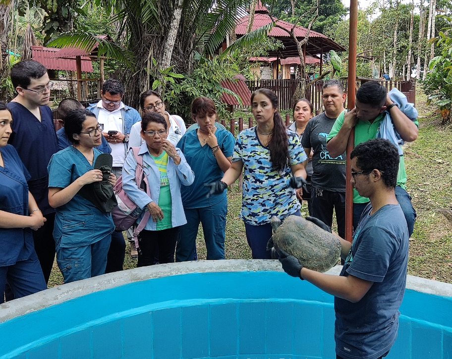 Traficantes de vida silvestre