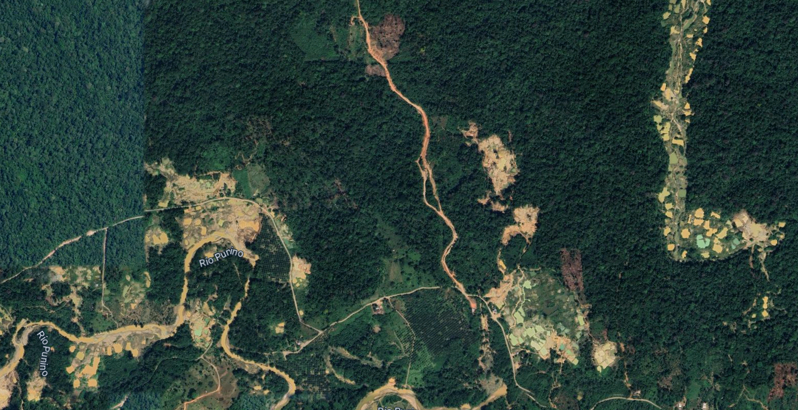 Napo minería
