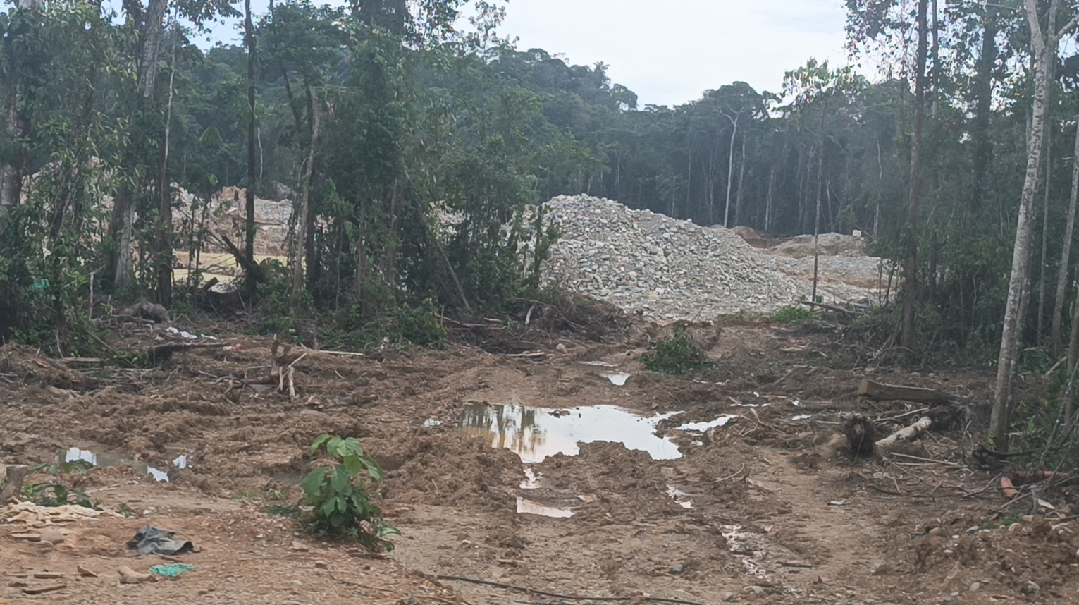 Napo minería