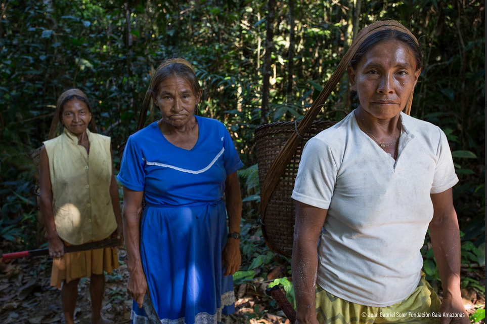 La gobernanza indígena Colombia